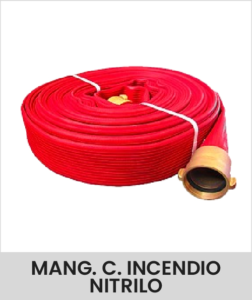 Descripción de la imagen